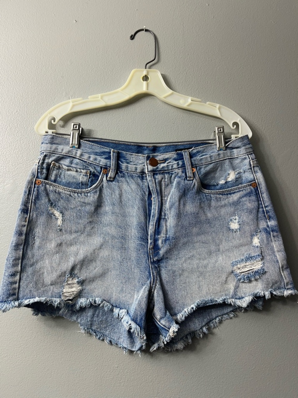 Blank nyc button fly fray hem jean shorts 30